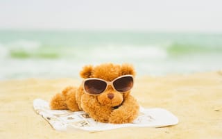 Картинка Плюшевый мишка в солнечных очках лежит на пляже