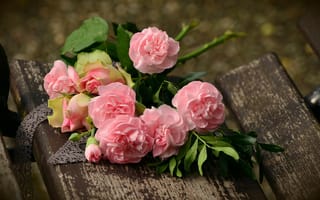 Картинка Букет красивых нежных розовых роз лежит на деревянной лавке