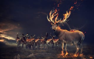 Картинка Фантастический олень с огненными рогами и копытами