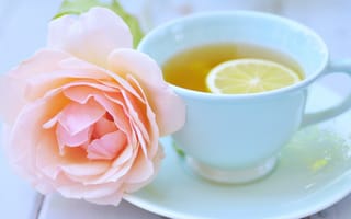 Картинка Белая чашка чая с лимоном и розовой розой