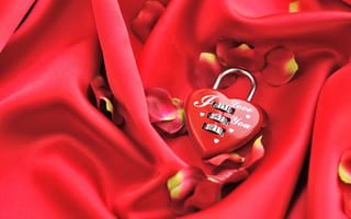 Картинка Кодовый замок в форме сердца на красном фоне с лепестками розы