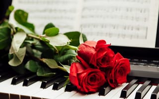 Картинка Три красные розы лежат на клавишах пианино с нотами