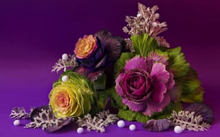 Картинка Цветы декоративной капусты на фиолетовом фоне, фрактальный рисунок