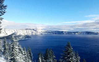 Картинка Заснеженные горы и ели на берегу озера зимой