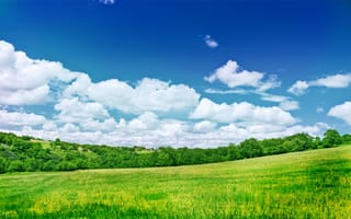 Обои Зеленый летний луг под голубым небом с белыми облаками