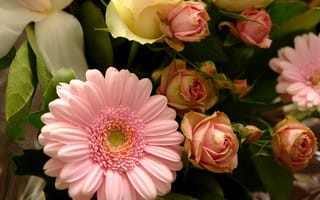 Картинка Букет с розовыми герберами и розовыми розами