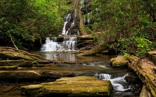 Картинка Водопад стекает по камням в лесу