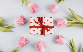 Картинка Подарок с розовыми тюльпанами на сером фоне