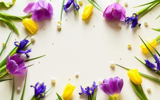 Картинка Тюльпаны и ирисы с жемчужинами на столе