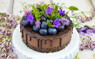 Картинка Шоколадный торт с ягодами черники и цветами