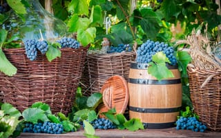 Картинка Корзины с синим виноградом и бочкой для вина
