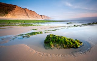 Картинка Камни на песчаном пляже покрыты зеленым мхом