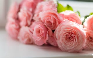 Картинка Розовые нежные розы на подоконнике