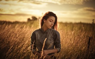 Картинка Красивая девушка на поле с колосками на фоне солнца