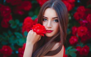 Обои Красивая голубоглазая девушка с красной розой в руке