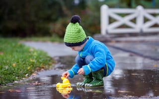 Картинка Маленький мальчик с резиновыми уточками в луже осенью