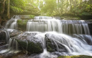 Картинка Лесной водопад стекает по камням