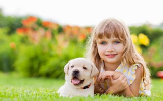 Картинка Милая маленькая девочка с щенком золотистого ретривера лежит на зеленой траве