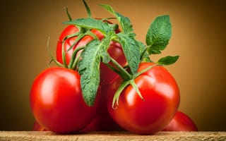 Картинка Крупные спелые красные томаты с зелеными листьями