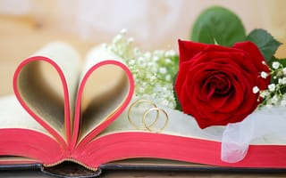 Картинка Красная роза на книге с сердцем из страниц и золотыми обручальными кольцами