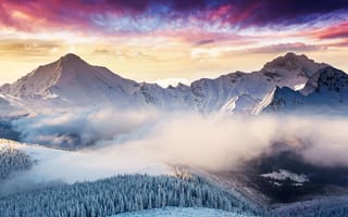 Картинка Туман над лесом у заснеженных гор зимой