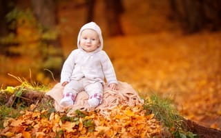 Обои Маленький ребенок сидит на листве осенью