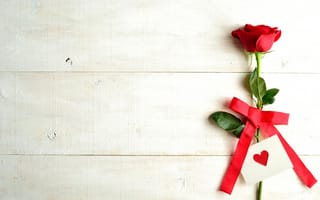 Картинка Красная роза и валентинка на белом фоне, шаблон для поздравительной открытки на День Святого Валентина