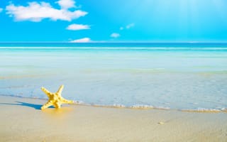 Картинка Морская звезда на белом песке у моря под голубым небом