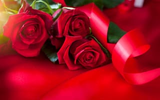 Картинка Красивые красные розы с атласной лентой на красном фоне