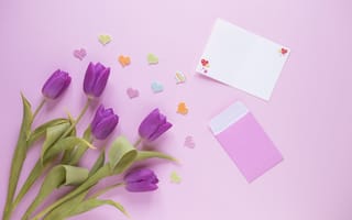 Картинка Букет фиолетовых тюльпанов на розовом фоне шаблон для открытки