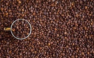 Картинка Чашка с кофейными зернами стоит на зернах