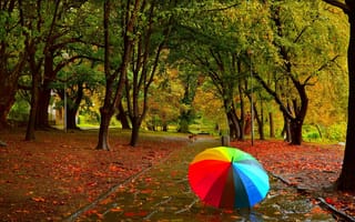 Картинка Разноцветный зонт в осеннем парке
