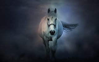 Картинка Большая белая лошадь бежит в тумане