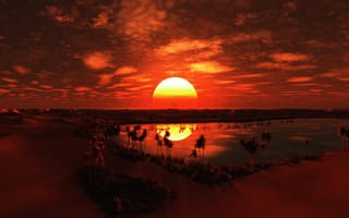 Обои Закат большого солнца над пустыней в тропиках