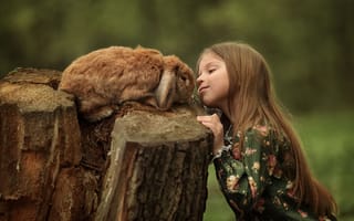 Картинка Маленькая девочка смотрит на декоративного кролика