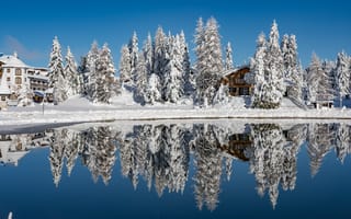 Картинка Заснеженные дома и лес на берегу озера зимой