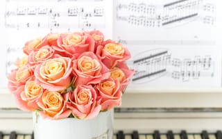 Картинка Красивый букет розовых роз стоит на пианино