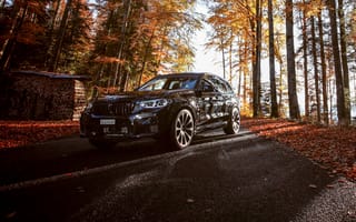 Картинка Черный автомобиль BMW X3 M Competition Line 2019 года в осеннем лесу