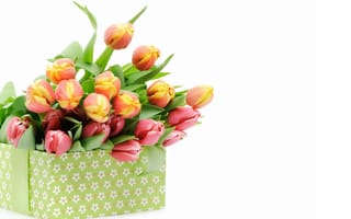 Картинка Большая коробка с разноцветными тюльпанами