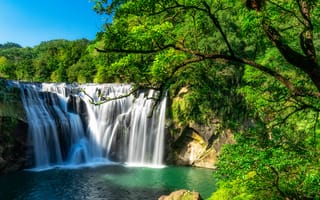 Картинка Быстрый водопад стекает со скалы в лесу с зелеными деревьями
