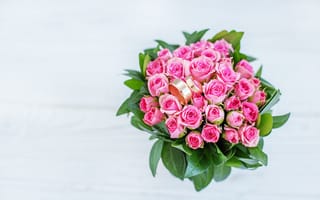 Картинка Большой букет розовых роз с золотыми обручальными кольцами
