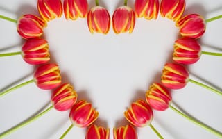 Обои Сердце из красных тюльпанов на сером фоне
