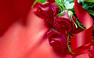 Обои Три красные розы с атласной лентой на красной ткани