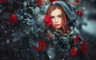 Картинка Девушка в черном плаще у куста роз