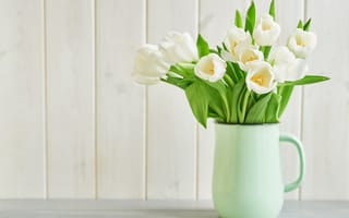 Обои Букет белых тюльпанов в вазе на белом фоне