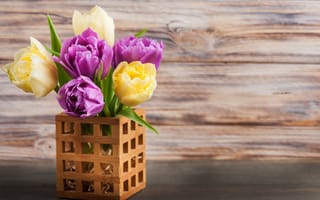 Картинка Букет желтых и сиреневых тюльпанов в вазе