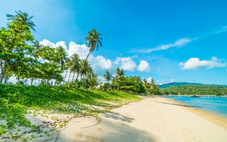 Обои Красивый тропический пляж с теплым песком под голубым небом летом