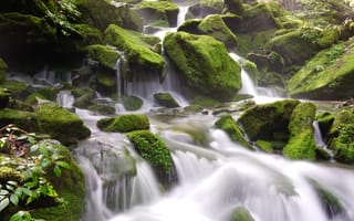 Картинка Быстрая вода водопада стекает по большим покрытым мхом камням