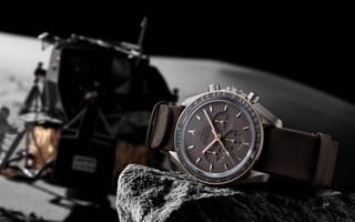 Картинка Мужские наручные часы Omega NASA лежат на камне
