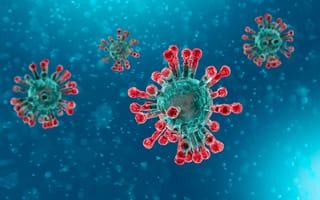 Картинка Страшные бактерии коронавируса COVID-19 на голубом фоне